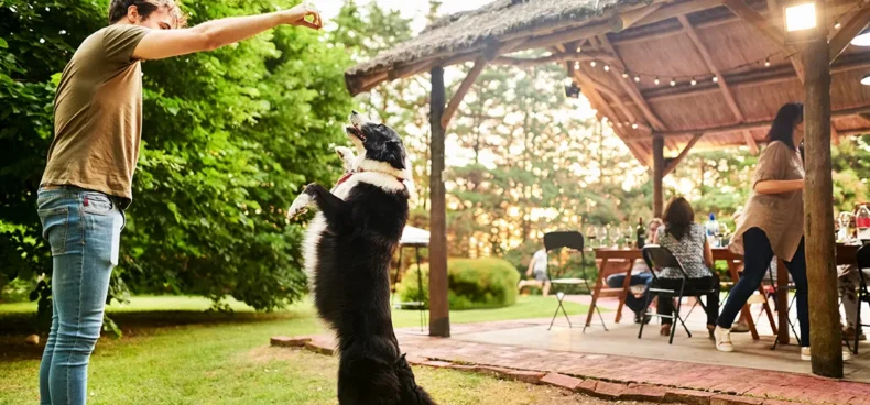 pet friendly vacation rentals